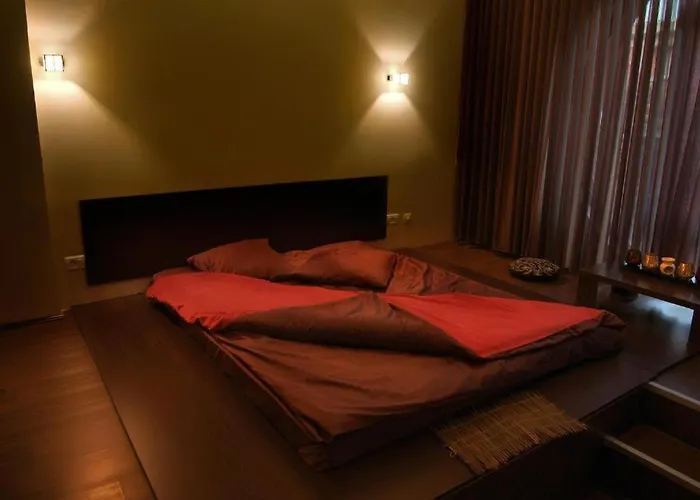 Decentria Hotel Temešvár