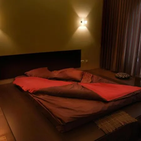 Decentria Hotel Timisoara