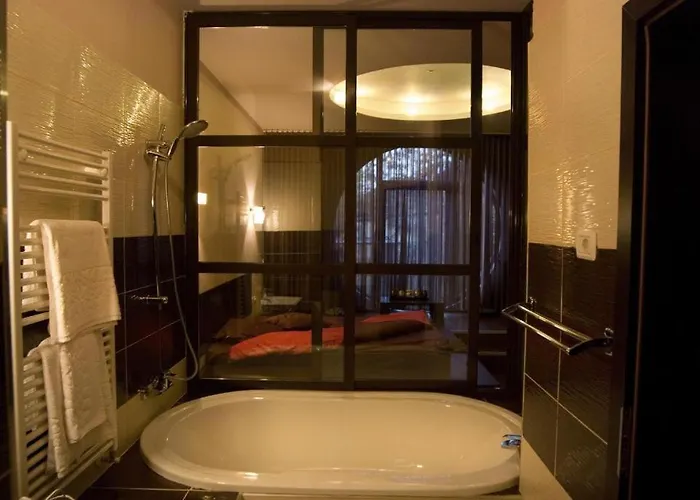 Hotel Decentria Timisoara